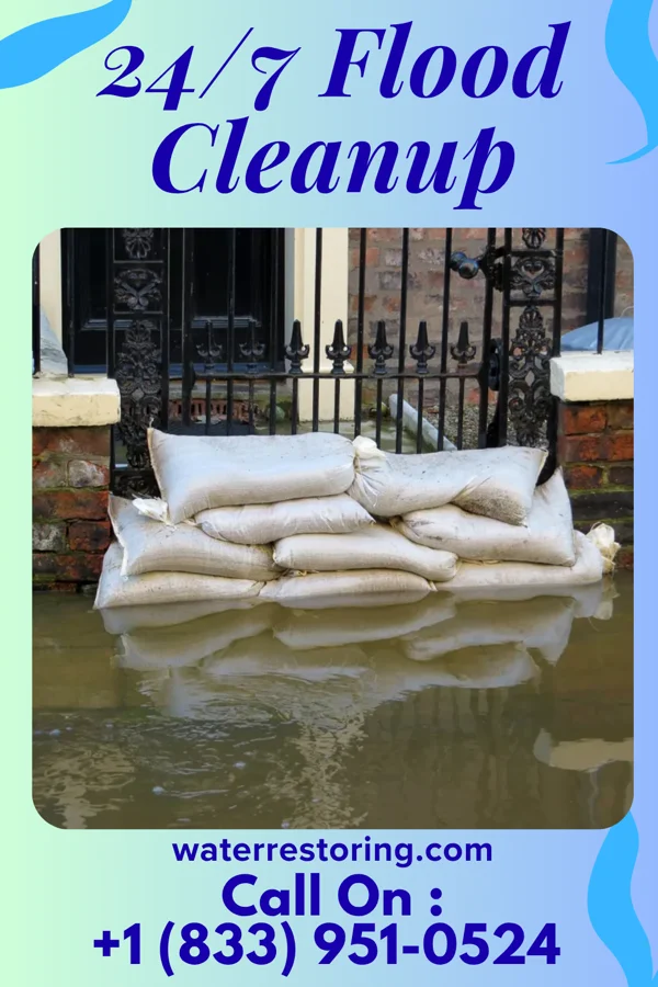 24/7 Flood Cleanup in Wilson, AR