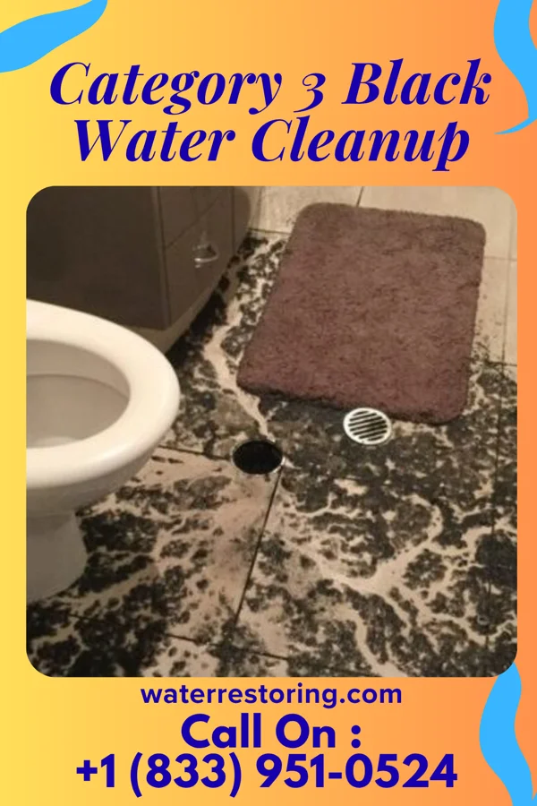 Category 3 Black Water Cleanup in Wilson, AR