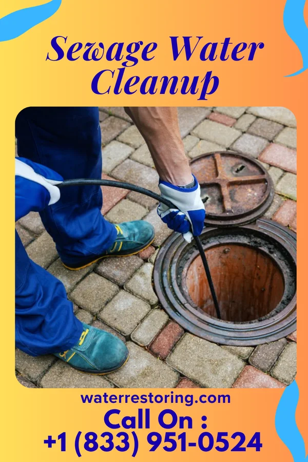 Sewage Water Cleanup in Wilson, AR